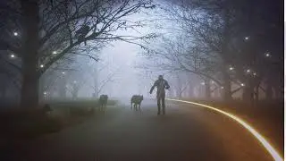 Cinema 4d R19 + Octane + Adobe After Effects CC 2019