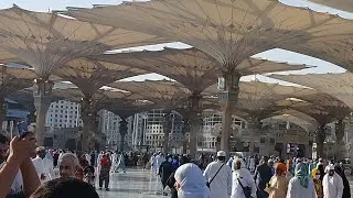 Умра Сафари