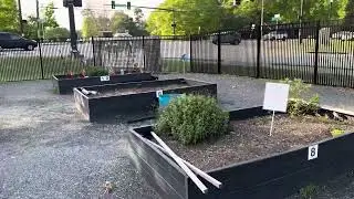 Harvest Gwinnett Community Garden | Live Healthy Gwinnett | Garden Plot