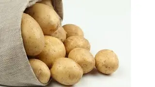 Семенной Картофель Сорт Королева Анна Характеристика