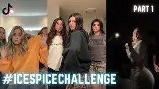 BEST OF ICE SPICE CHALLENGE 2024  | TIKTOK COMPILATION  | 1 MINUTE Deli Mashup Challenge