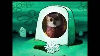 Longcaw The Owl is dead ￼