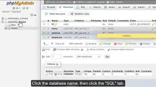 How to Run SQL Queries with phpMyAdmin | VeeroTech Hosting