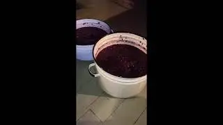 Вино. Часть 2