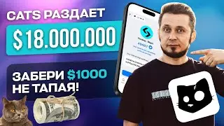 Как забрать ДРОП 1000$ в CATS на биржах Bybit и Bitget. Launchpool Token Splash