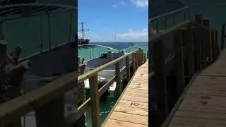 Getting on a boat😱
