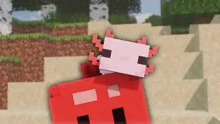 Axolotl Compilation [Minecraft Animation]