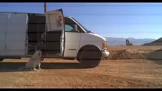 Drone Air Force   8th Flight