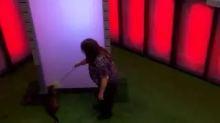 Battle Cats | Ep. 6 | Pt. 2