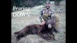 Bearing Down