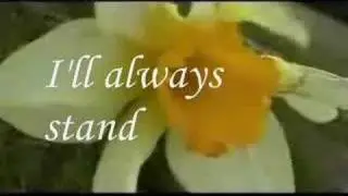 I Stand For You
