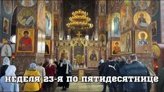 НЕДЕЛЯ 23-Я ПО ПЯТИДЕСЯТНИЦЕ