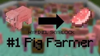 Becoming the #1 Pig Farmer in Hypixel Skyblock - THE BEGINNING