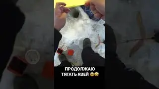 ПРОДОЛЖАЮ ТЯГАТЬ ЯЗЕЙ 🤩 #рыбалка #река #поклевка #зима #подсечка #лунка #лунка #язь #здоровенныйязь