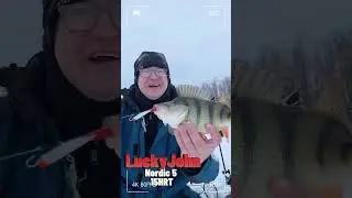 Хороший окунь на балансир LJ Nordic 5. Паноптикс