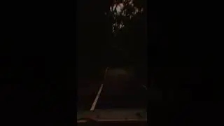 Позови меня с собой