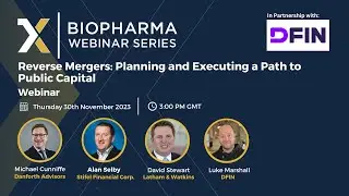 Reverse Mergers: Planning and Executing a Path to Public Capital