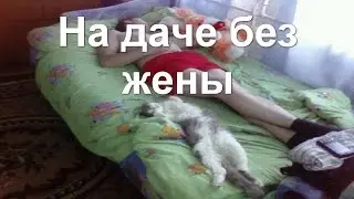 На даче без жены, мужчина готовит, мужчины готовят лучше женщин