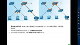 RSTP: An Introduction