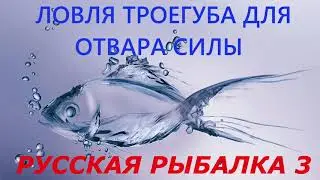 Русская рыбалка 3 Ловля троегуба для отвара силы