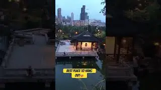 BEST PLACE TO HANG OUT 😍 #shortvideo #trendingvideo #trending #nature #trending #shorts #short