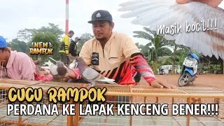 CUCU RAMPOK || BARU PERDANA SUDAH KELIHATAN!!!