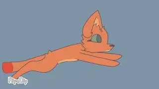 Run test