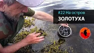 #22 On the island of Zolotuha | Louhi - Engozero 2017 | Kayaking Adventures