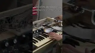 Analog Delay and Spring Reverb test 