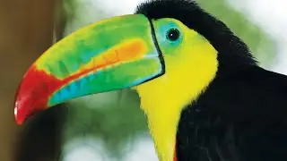 Коста Рика 2013