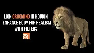 Enhance Body Fur Realism with Filters in Houdini | Hair Grooming Tutorial #houdini #cgcircuit #vfx