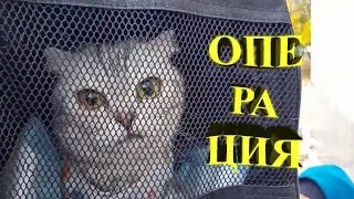 Операция Мальвине