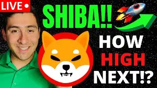 SHIBA INU COIN COMING BACK!? BUYING THE DIP! (SHIB LIVE)