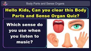Body Parts and Sense Organs Quiz for Kids |  16 Questions | LetsTestYou |  Grade 1 | Grade 2