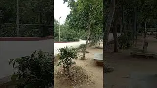 Jurassic park - at home