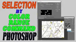Making Selections Using Color Range Command Photoshop advanced