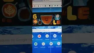 bug na página do Google