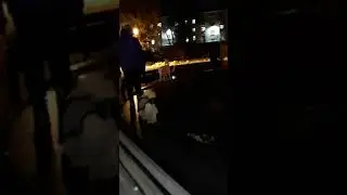 Прогулка в парке.