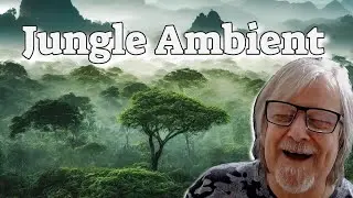 "Amazonia" - Melodic Ambient Jungle Music 🐒