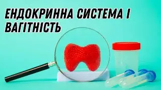 Ендокринна система і вагітність #гормони #вагітність  #ендокриннасистема #doctorberezovska