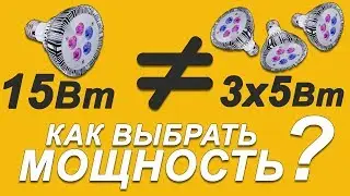 ВЫБОР ФИТОЛАМПЫ. Какая мощность и сколько ламп нужно для вашей площади ?