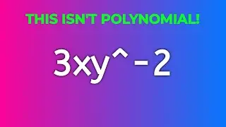 Why Is This Not Polynomial? | Polynomial Checking Conditions