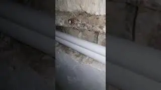 #berbertezgahı