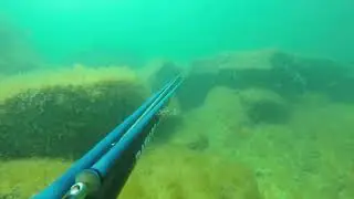 Актау. Подводная охота на Каспии. Сакакудук. Кефаль