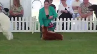East of England Hound Group 2013