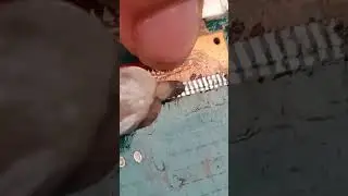 Samsung LCD repair 