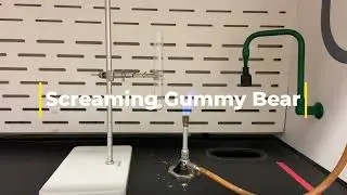 Screaming Gummy Bear