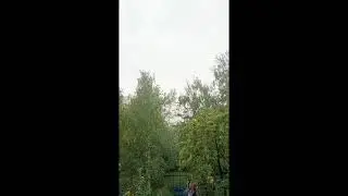 Дождь в конце Июля