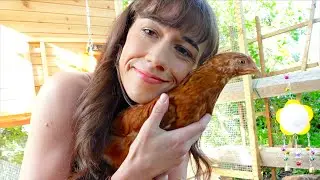 The Chickens Had To Move!
