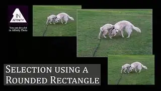 Selection Using a Rounded Rectangle in Affinity Photo
